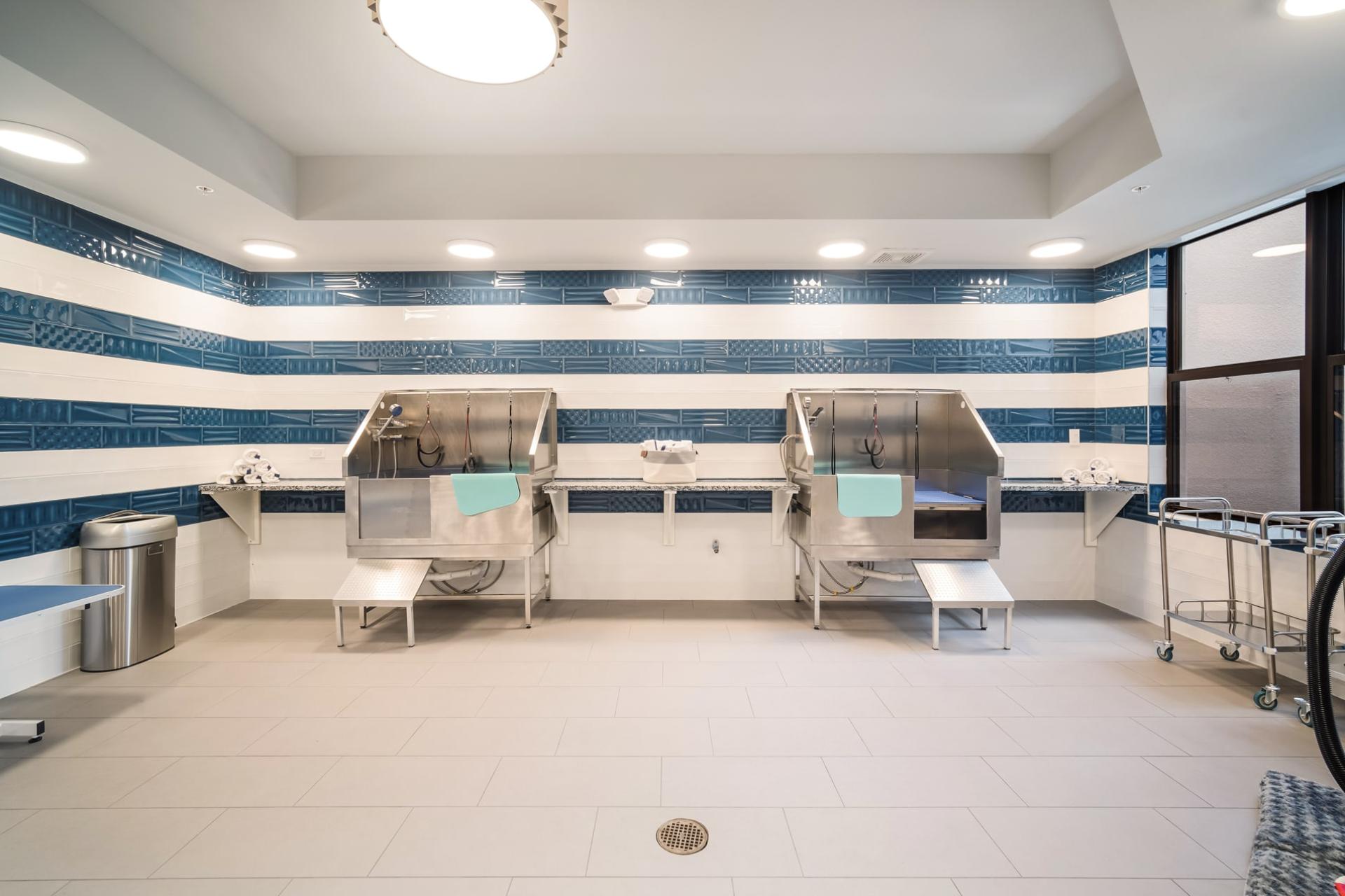 Magnolia dogwash room